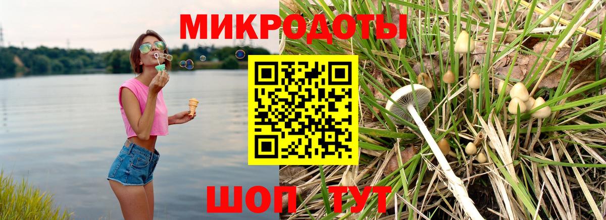 Псилоцибиновые грибы Psilocybe Амурск