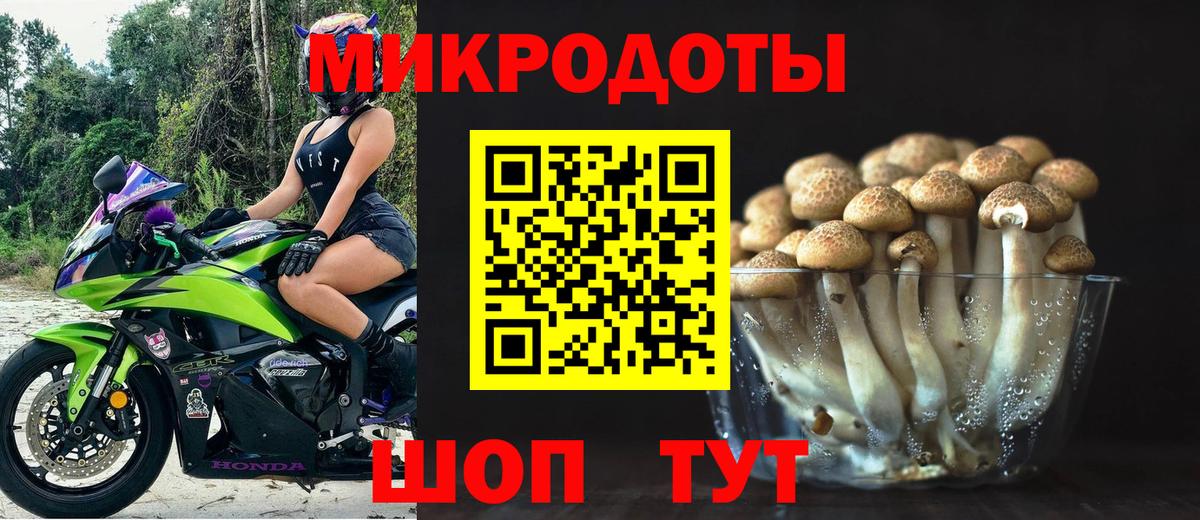 Амурск  Псилоцибиновые грибы Psilocybine cubensis  Вход с VPN 